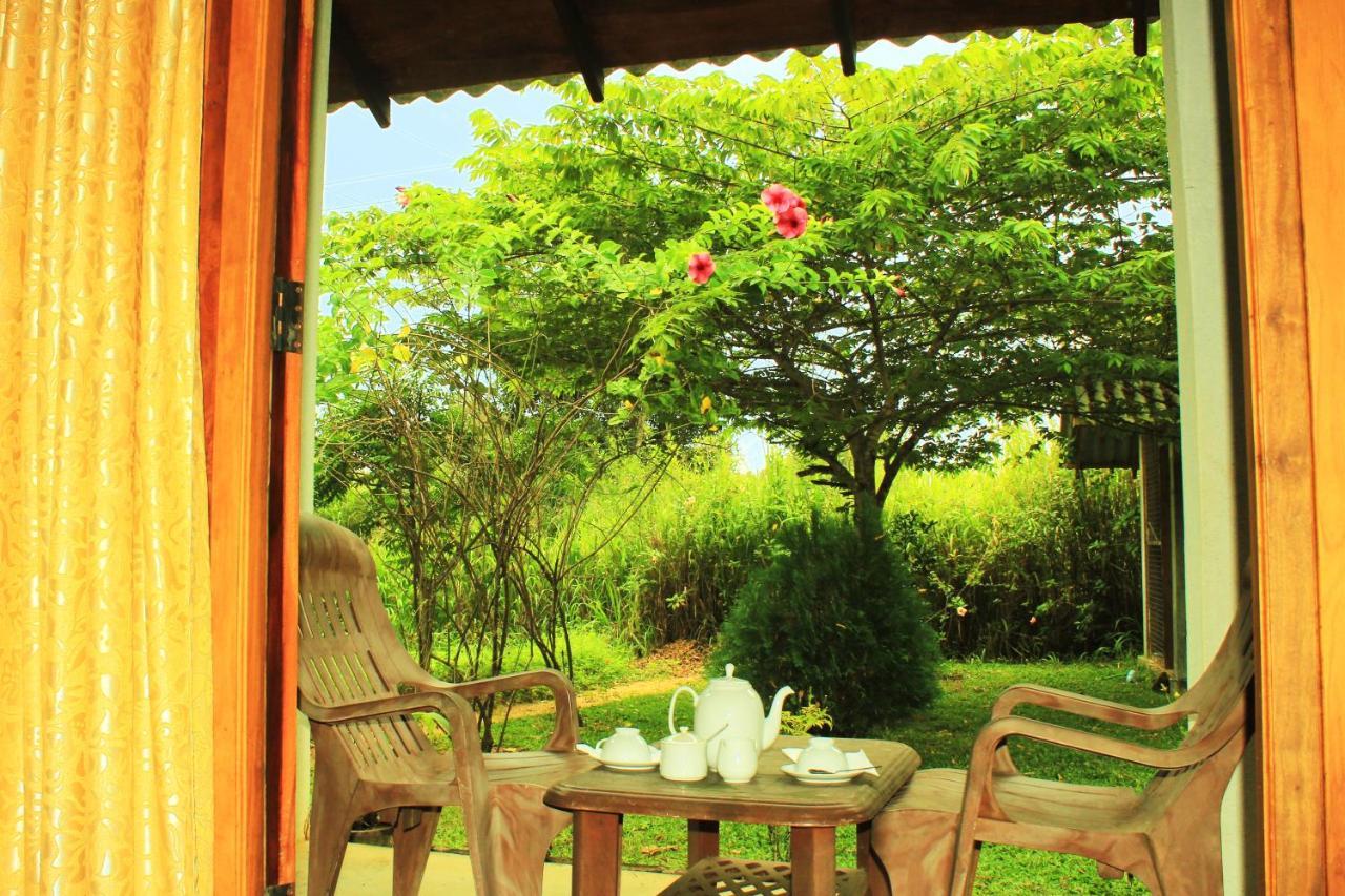 Green Hut Nature Resort Sigirija Zewnętrze zdjęcie